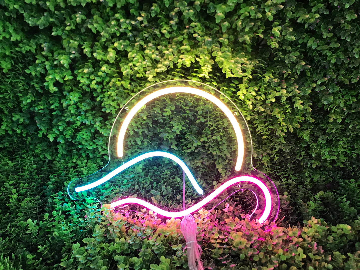 Néon personnalisé LED (sur devis) - À partir de 99€