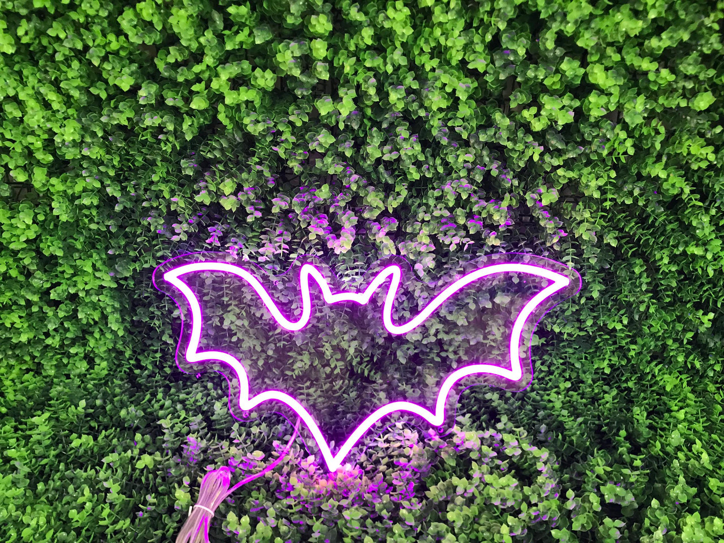 Néon personnalisé LED (sur devis) - À partir de 99€