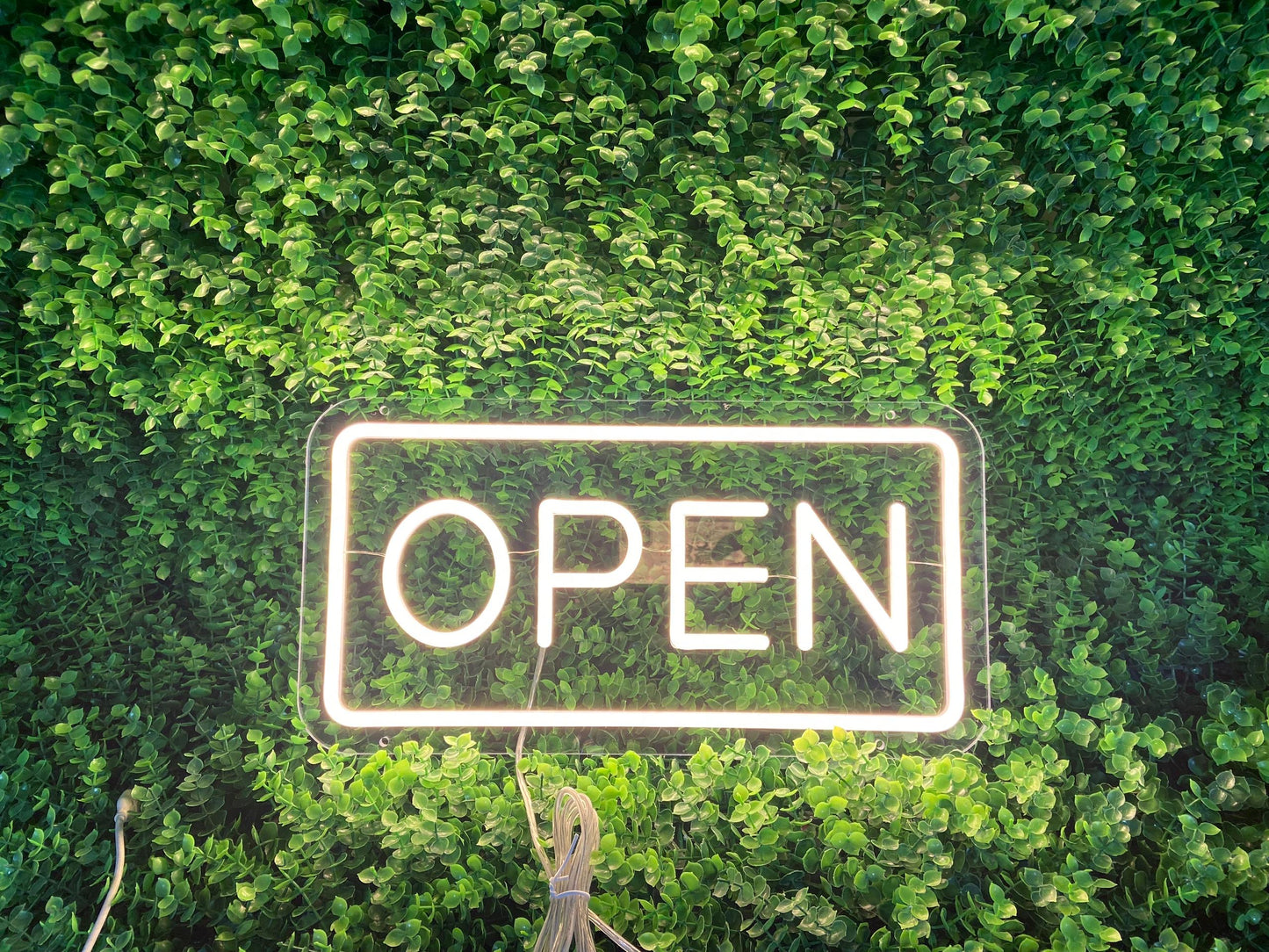 Néon personnalisé LED (sur devis) - À partir de 99€