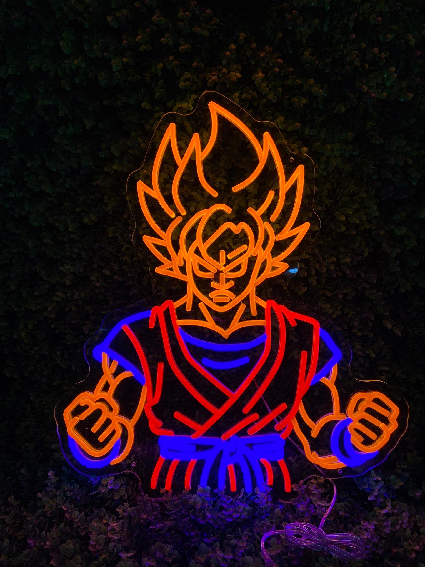 Néon personnalisé LED (sur devis) - À partir de 99€